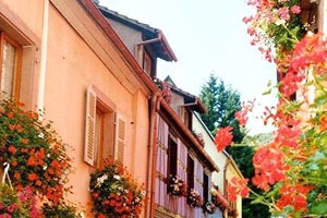 火牛視頻,給大家看看真正的火牛視頻!