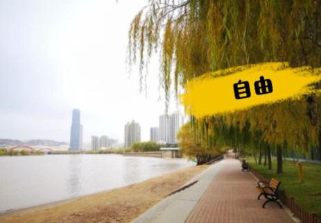 QQ截圖20191126175733.jpg QQ截圖20191126175733.jpg